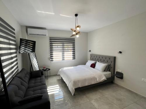 Drama Homes Miaouli #2