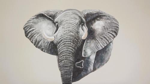 an elephant head with tusks on a white background at Big6 Guesthouse in Somerset West