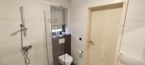 a bathroom with a toilet and a glass shower door at Srnčí vrch in Batňovice