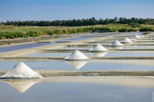 a group of sand piles in a field at Le Parc des Mimosas in Noirmoutier-en-l'lle