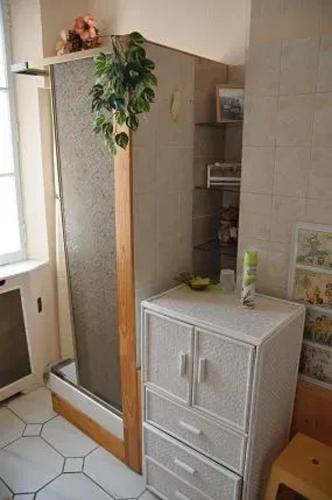 - un réfrigérateur avec une plante au-dessus dans l'établissement Maison confortable au Tréport, 80 m² avec jardin, au Tréport