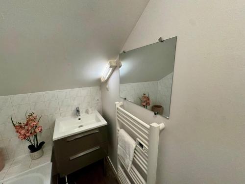 a bathroom with a sink and a mirror at Les Lys D'or vue Château Hyper Centre climatisé in Saumur