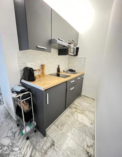 une petite cuisine avec un évier et un comptoir dans l'établissement Studio meublé, les tambourins, à Cannes