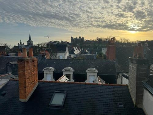 a view of a city with roofs and buildings at Les Lys D'or vue Château Hyper Centre climatisé in Saumur