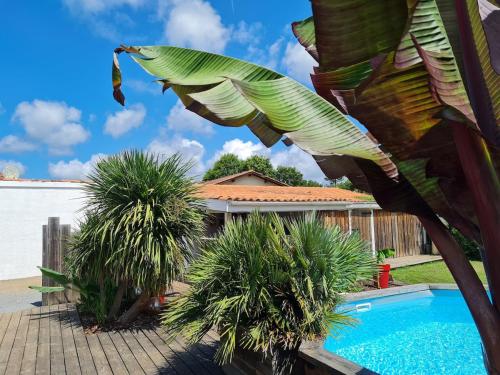 Photo de la galerie de l'établissement air-conditioned house 3 stars, with pool and jacuzzi, à Lège-Cap-Ferret