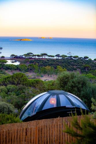 un objet noir assis au-dessus d'une clôture en bois dans l'établissement Palom'bolla, à Porto-Vecchio