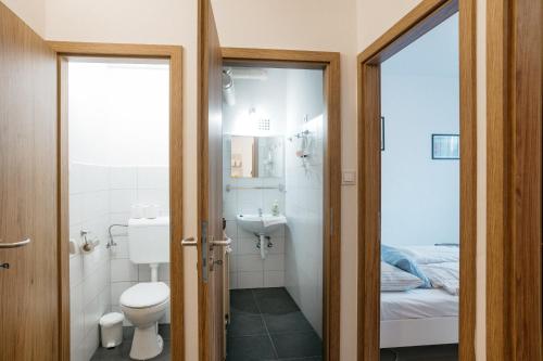a bathroom with a toilet and a sink at Tavaszház Apartmanok in Balatonfüred