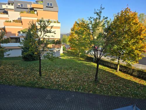 two trees in a lawn in front of a building at Apartmán Violette in Olomouc