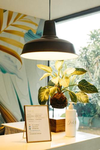 a potted plant sitting on a table under a lamp at Joli Guesthouse in Maputo