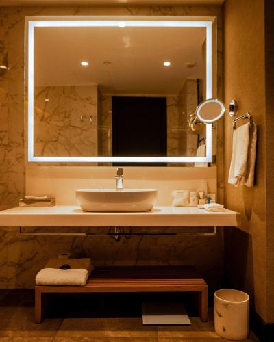Un baño de Radisson Blu Hotel & Conference Center, Niamey