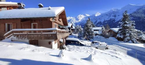 Savoyard cottage with terrace on the snow front