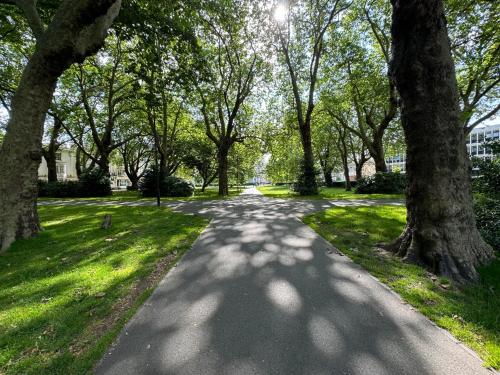 a tree lined road in a park with trees at Oxford Street Apartments in Southampton