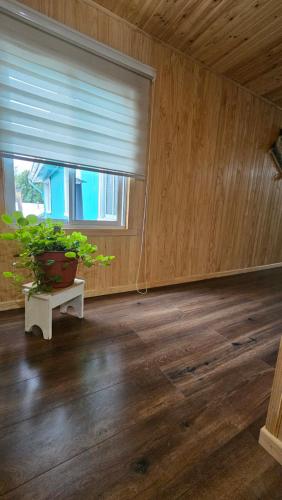 a room with a potted plant and a window at Espiral Turquesa Cabañas y Departamentos in Melipeuco