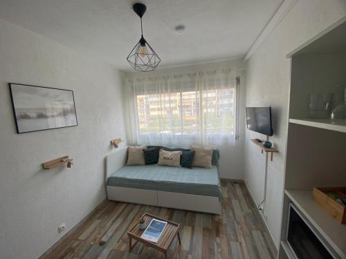 โทรทัศน์และ/หรือระบบความบันเทิงของ Appartements parfaits pour Cures Thermales, au bord de l’Etang de Thau