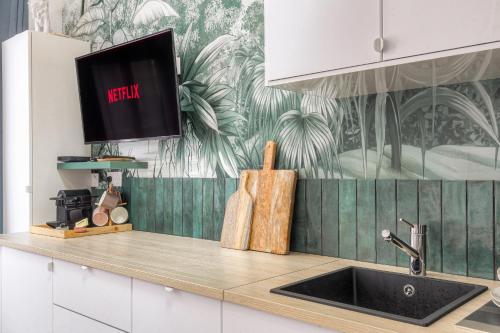 Il comprend une cuisine avec un évier et une télévision sur un comptoir. dans l'établissement Atypique et calme avec parking, à Villeurbanne