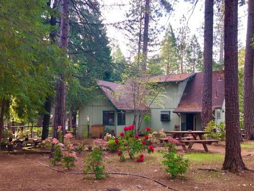 a house with a picnic table and flowers in front of it at Groovy Cabin in the Woods in Pollock Pines