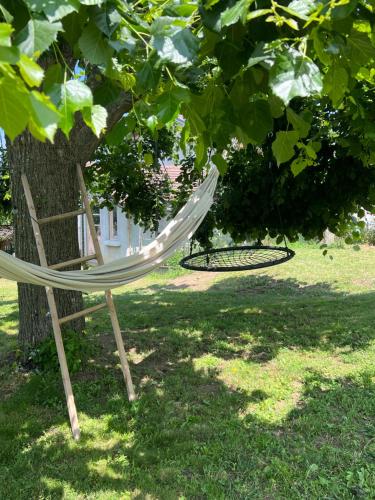 Photo de la galerie de l'établissement Jolie maison cosy, grand jardin, en bordure de la Via Fluvia, à Yssingeaux