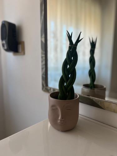 a green cactus in a brown pot on a table at ROSSI SUITE Fco in Isola Sacra