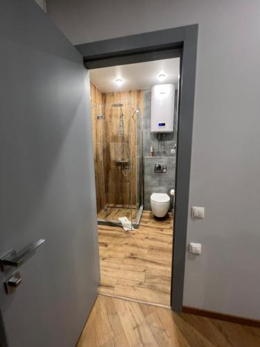a bathroom with a shower and a toilet at Kiev Centre KPI Apartments in Kyiv