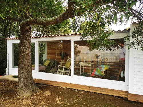 a screened in porch with a tree at Heaven in Fenais da Luz