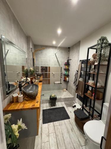 une salle de bain avec un lavabo et des toilettes dans l'établissement Maison port la nouvelle, à Port-la-Nouvelle