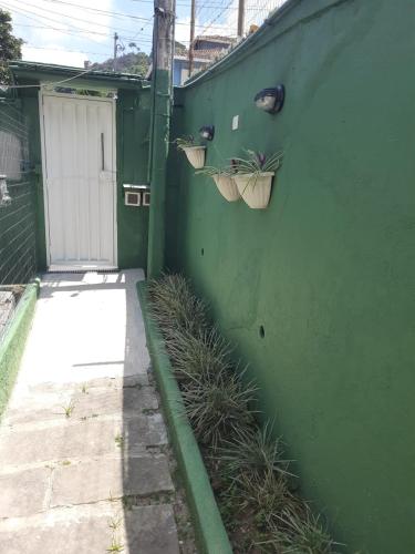a green wall with two potted plants and a door at Casa da Marquês in Petrópolis