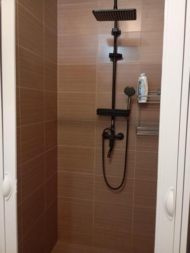 a shower with a shower head in a bathroom at Jessica Flat Malta Royal Guesthouse in Cospicua