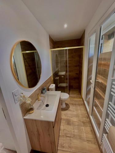 une salle de bain avec un lavabo, des toilettes et un miroir dans l'établissement Maison à l Ecurie, à Narbonne