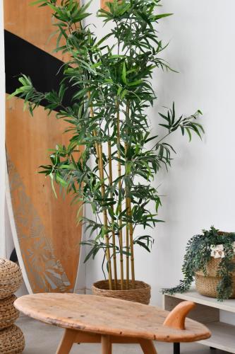 Imagen de la galería de CORRALEJO SURF HOUSE & SURF SCHOOl, en Corralejo