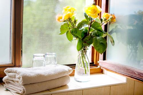 a vase of yellow flowers sitting on a window sill at Penzion Lagan in Radava