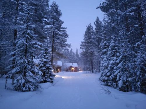 Kuosto ja Luppo im Winter