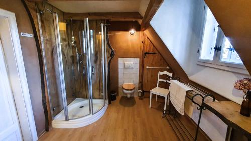 a large bathroom with a shower and a toilet at Ferienhaus Spreewaldnostalgie in Burg Kauper