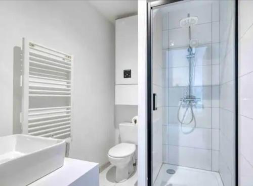 une salle de bain blanche avec douche et toilettes dans l'établissement Basilique V, à Douvres-la-Délivrande