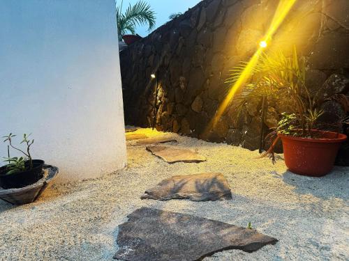 a dead animal laying on the ground next to a wall at Villa Océan Gravier Rodrigues in Mt Bois Noir