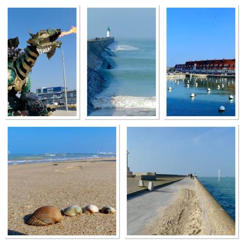 four pictures of the beach with shells on the beach at La maisonnette de Camillou in Calais