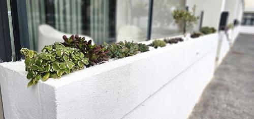 a white planter with plants on a window sill at Vacansis Masamagrell Bajo Loft Tomas y Valiente in Masamagrell