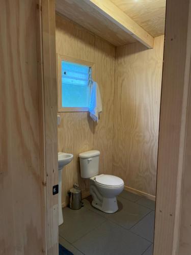a bathroom with a toilet and a sink at Cabaña el tilo in Lago Ranco