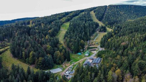 an aerial view of a forest of trees at Chata Severka s Wellness in Rokytnice v Orlických Horách