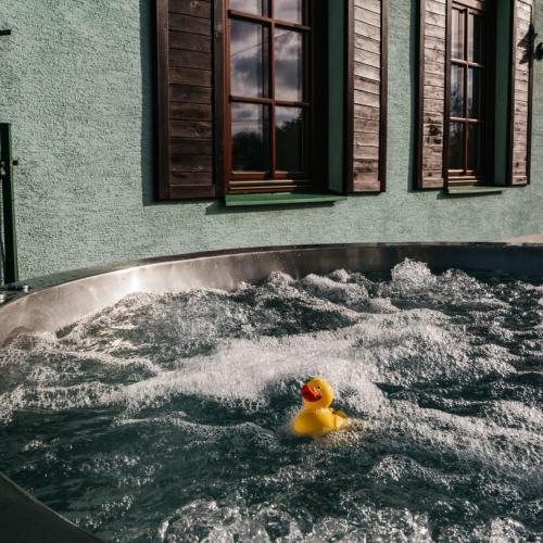 a yellow rubber duck in a tub of water at Chata Severka s Wellness in Rokytnice v Orlických Horách