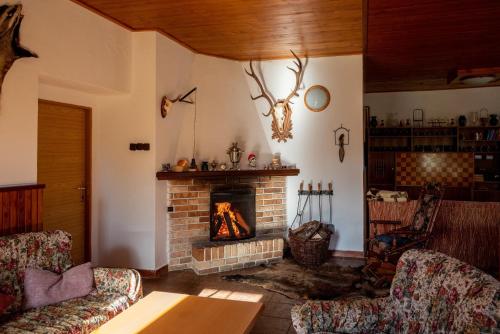 a living room with a fireplace with two chairs at Chata Severka s Wellness in Rokytnice v Orlických Horách