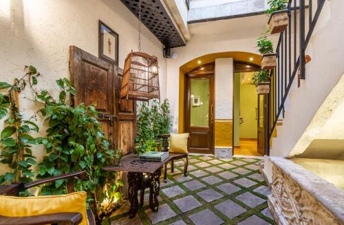 Fotografie z fotogalerie ubytování Casa Julieta v destinaci San Miguel de Allende
