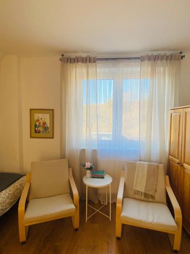a room with two chairs and a table and a window at Apartamenty Gawędówka in Krościenko