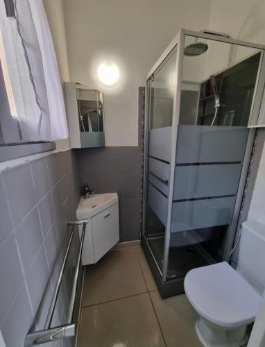 une salle de bain avec une douche en verre et des toilettes dans l'établissement Design appartement - 4pers - Histoire de Clés, au Cap d'Agde