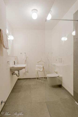 a bathroom with a sink and a toilet and a shower at Ferienwohnung Maierers Schaiere in Gammesfeld