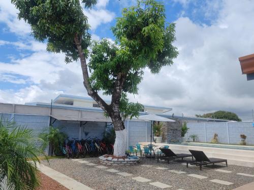 a tree in front of a building with chairs at La Casa de Papi. in Parrita