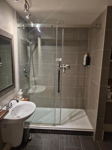 a bathroom with a shower and a sink at Gîte Au Perchoir in Baie-Saint-Paul
