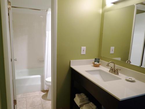 a bathroom with a sink and a toilet and a mirror at The University Inn at Emory in Atlanta