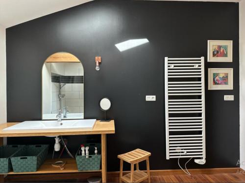 une salle de bain avec un lavabo et un miroir dans l'établissement Les coqs de Mirebois ,Maison de campagne de 200 M2 pour 10 Personnes, à Bas-Mollard