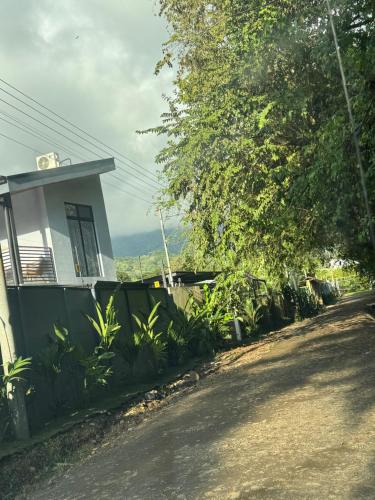 Gallery image of Casa Pelicano in Uvita