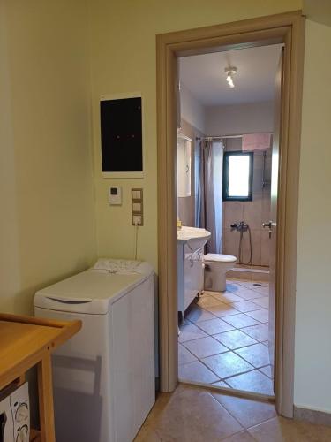 a bathroom with a toilet and a sink at Ktima Pyroessa Apartments - Blue Apartment in Thános